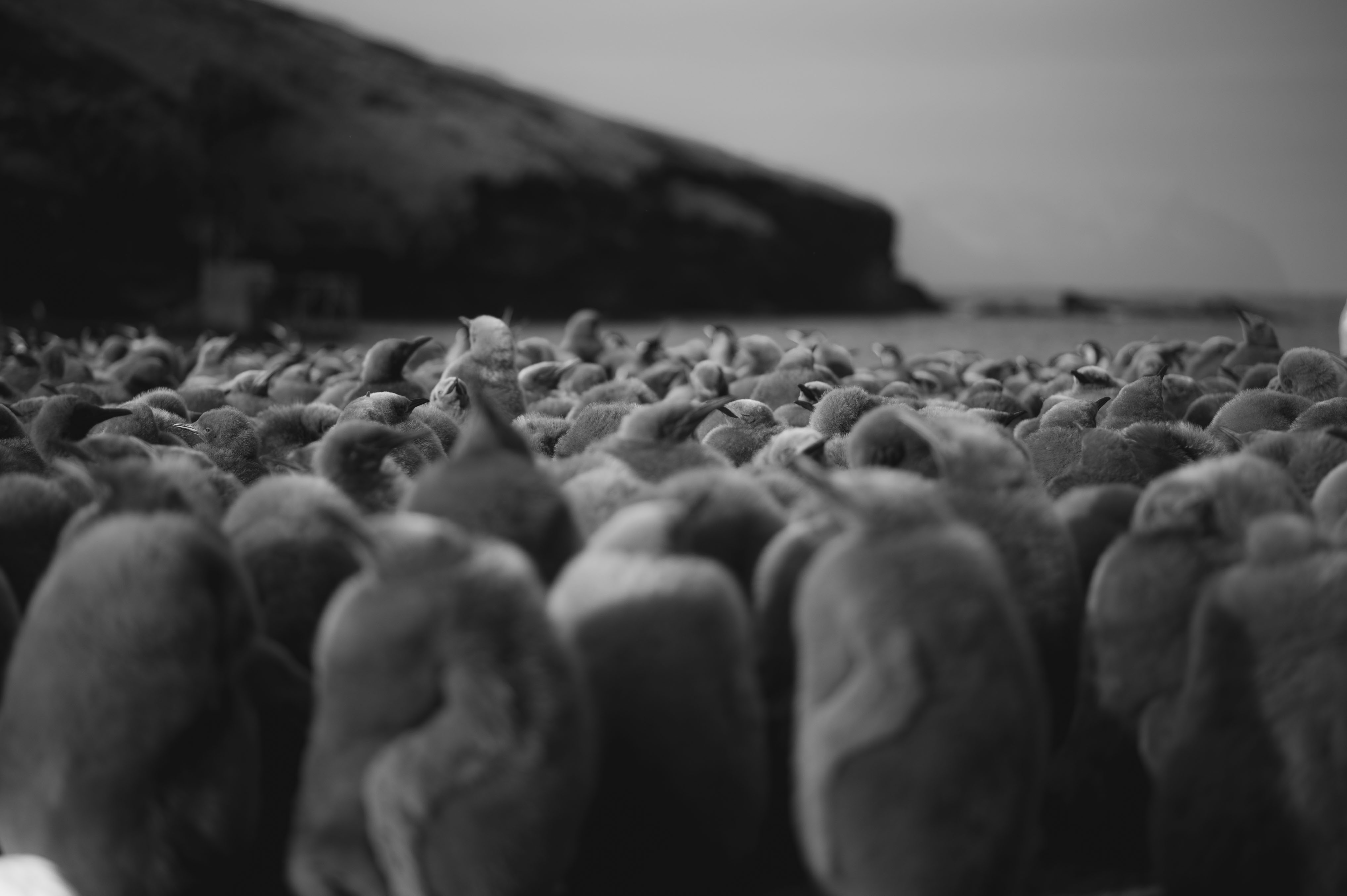 GYT 20220701 134854  DSC6277